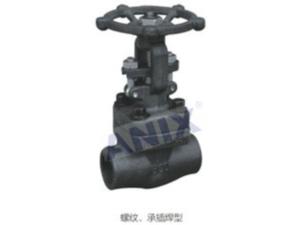 American Standard Forged Steel globe valve